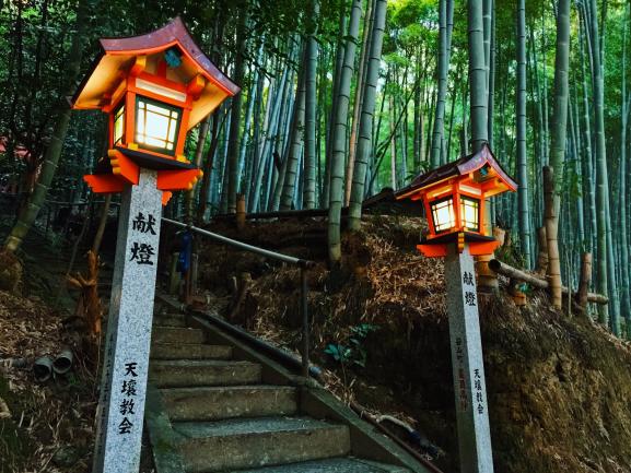 Two lanterns in a forest.