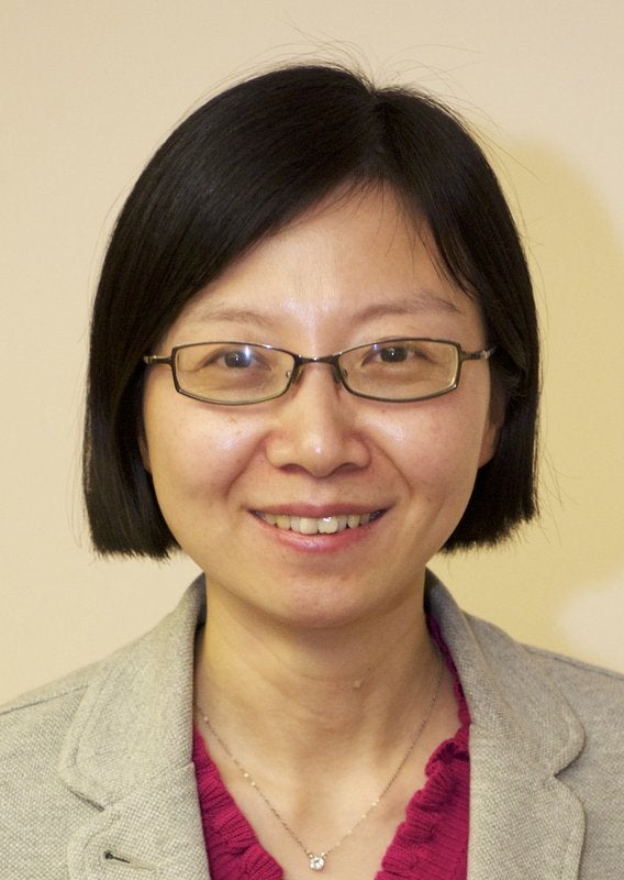 Professor Fei Ren.