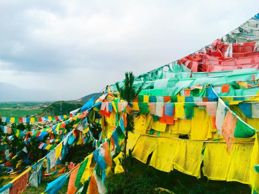 Colorful tent on a grassy field.